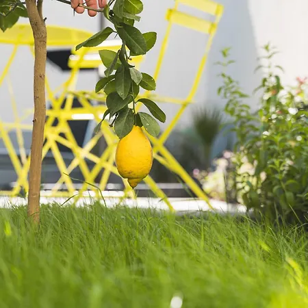Lemon3 - Privater Garten Mit Grill, Mini-gym, Zentral In Appartement *